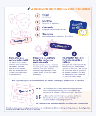 infographie_decouverte_metiers_v4_2.png